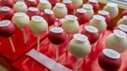 Dr. E. Voss Professional Care